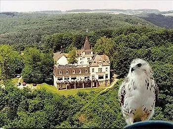 Kockelsberg Trier